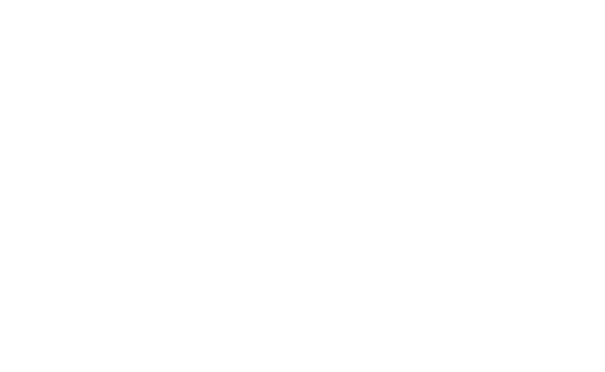 logo big 1 logo big 1